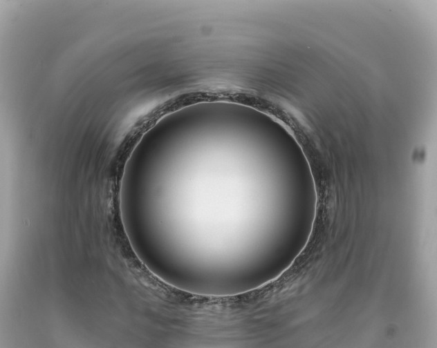 X0000092021016200709131551
