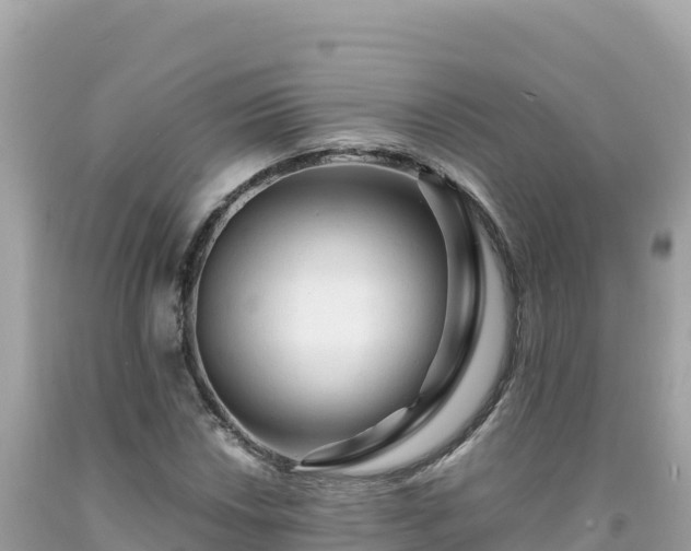 X0000092021018200709131551