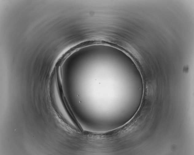 X0000092021020200709131551