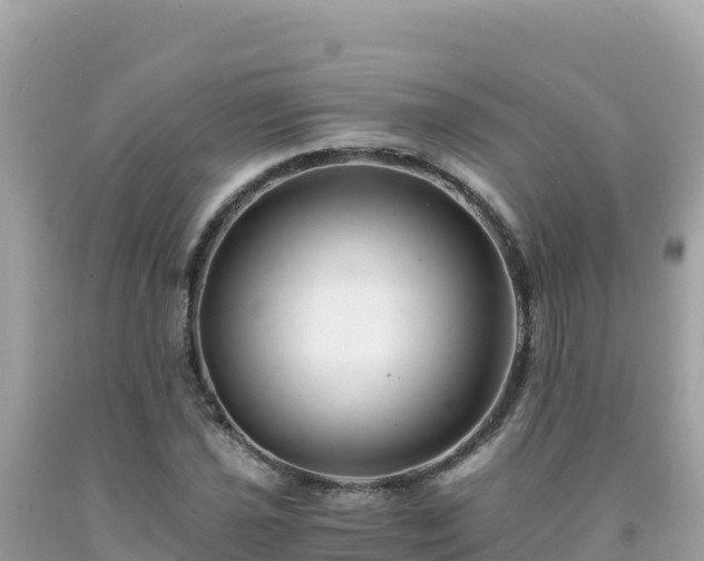 X0000092021021200709131551