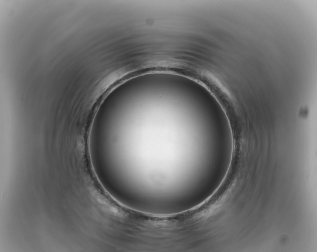 X0000092021025200709131551
