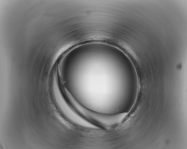 X0000092021026200709131551