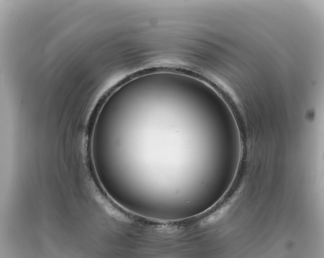 X0000092021029200709131552