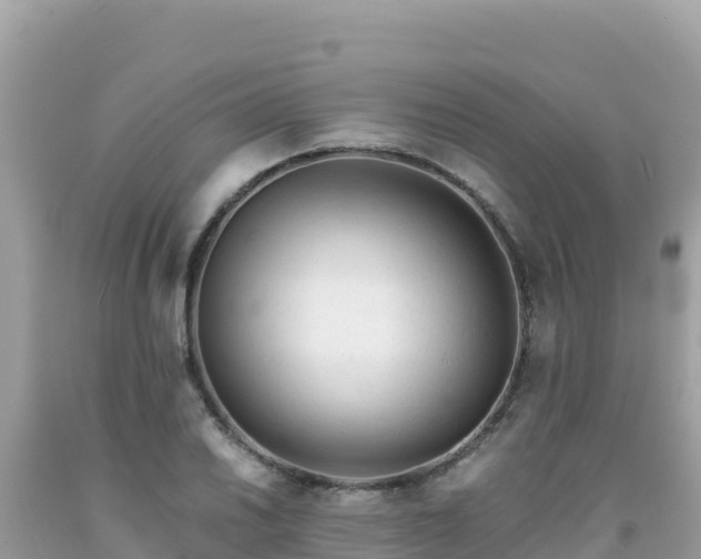 X0000092021030200709131552