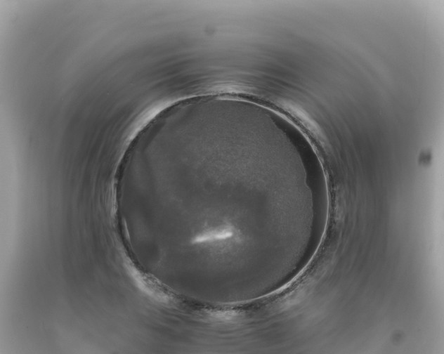 X0000092021031200709131552