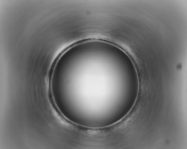 X0000092021032200709131552