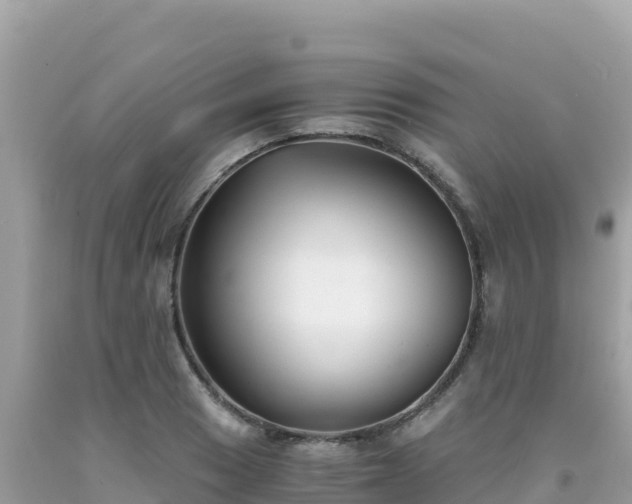 X0000092021033200709131552