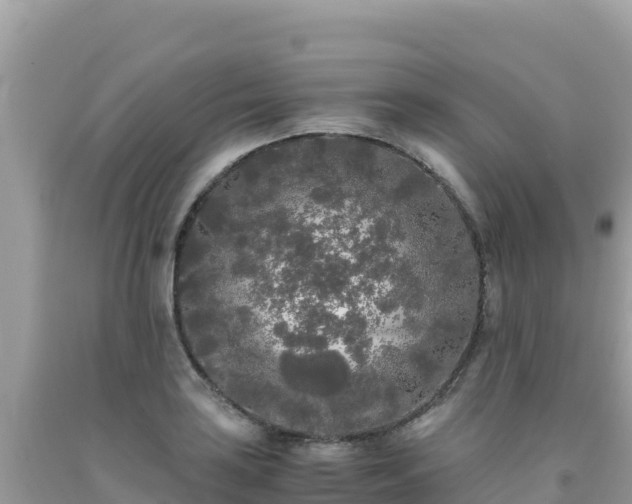 X0000092021035200709131552