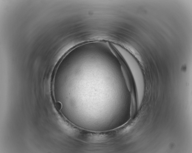 X0000092021039200709131552