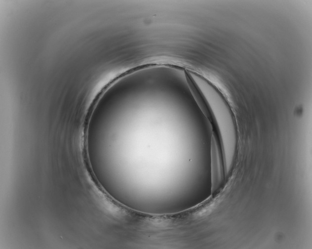 X0000092021040200709131552