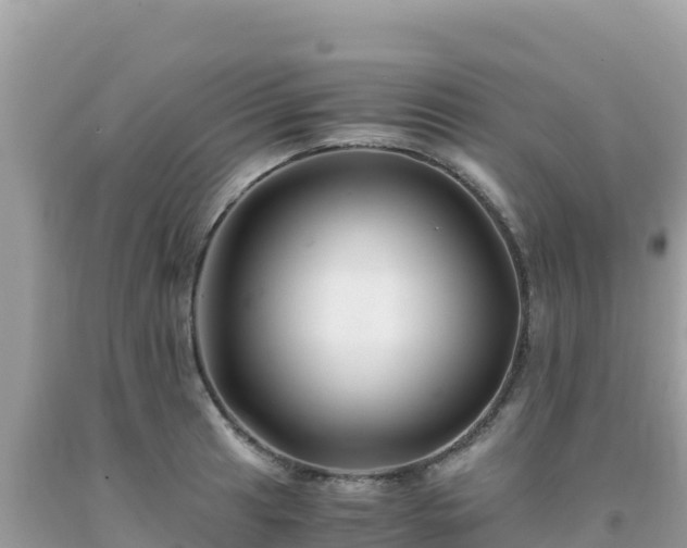 X0000092021041200709131552
