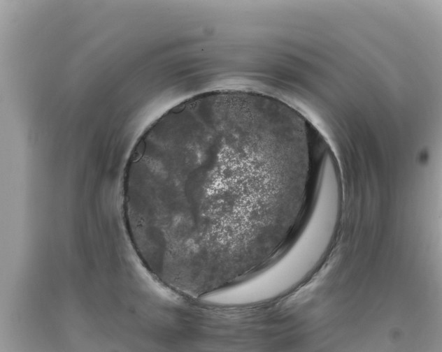 X0000092021045200709131552