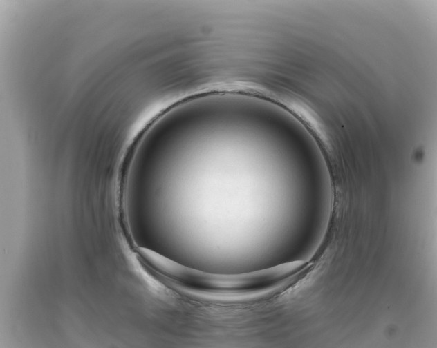 X0000092021046200709131552