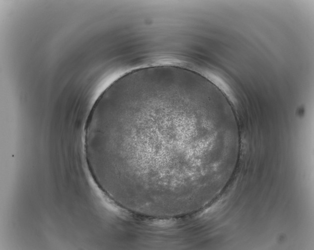 X0000092021047200709131552