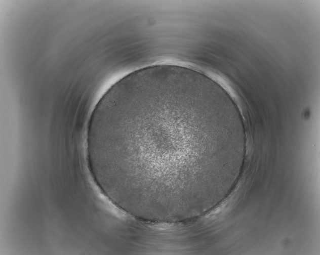 X0000092021048200709131552