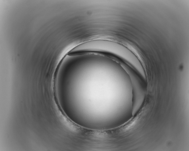 X0000092021050200709131552