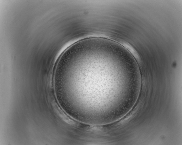 X0000092021052200709131552