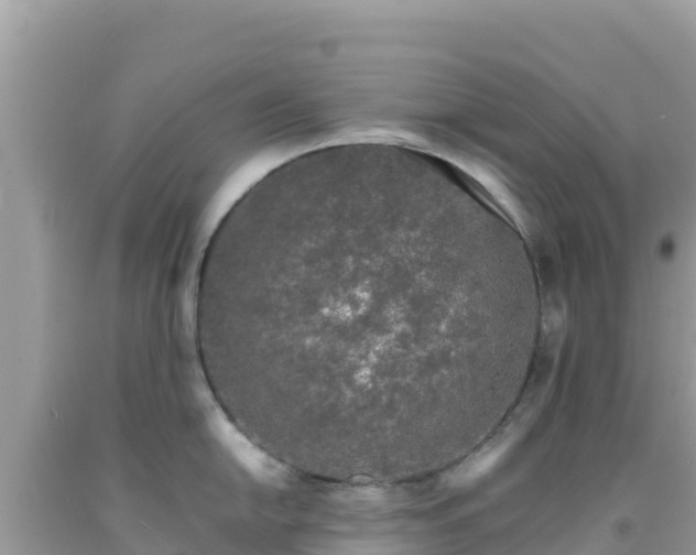 X0000092021054200709131552