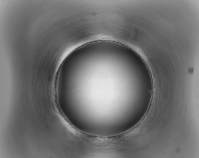 X0000092021056200709131552