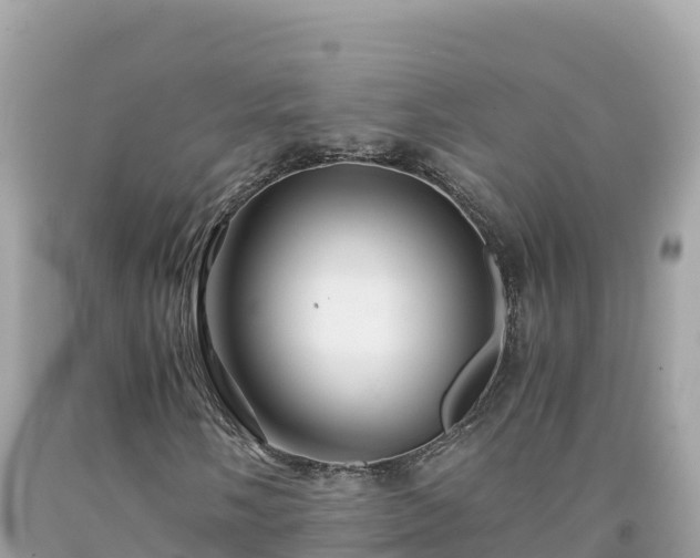 X0000092021058200709131551