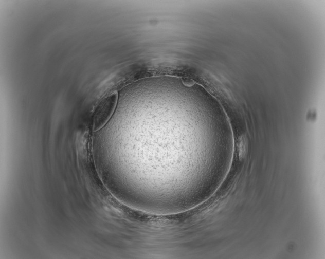 X0000092021059200709131551