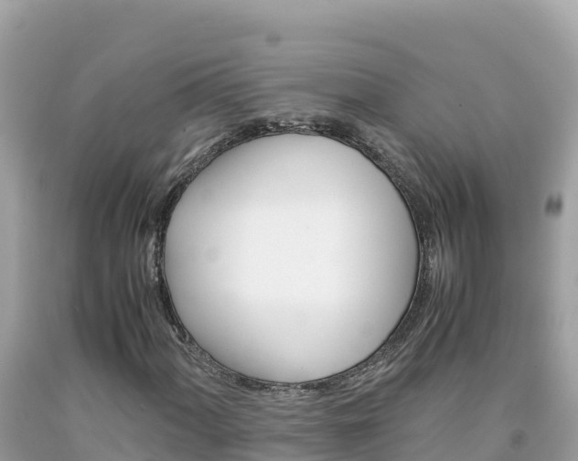 X0000092021060200709131551