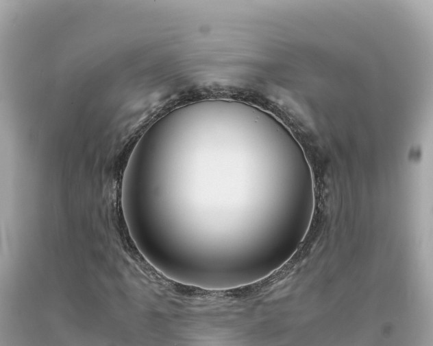 X0000092021061200709131551