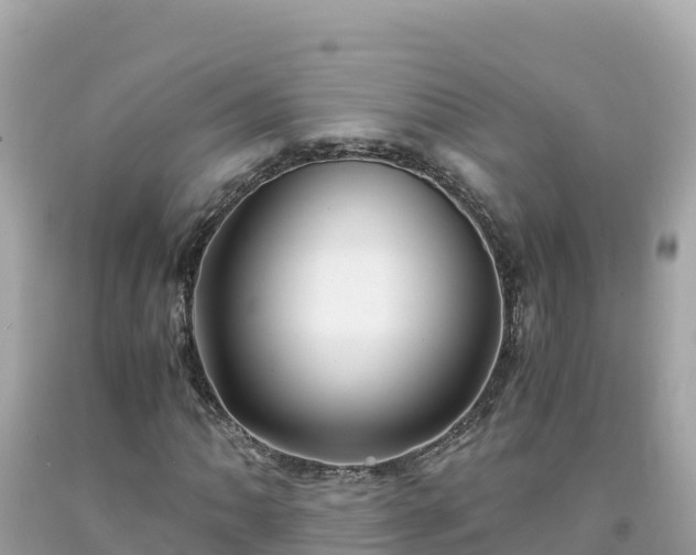X0000092021062200709131551
