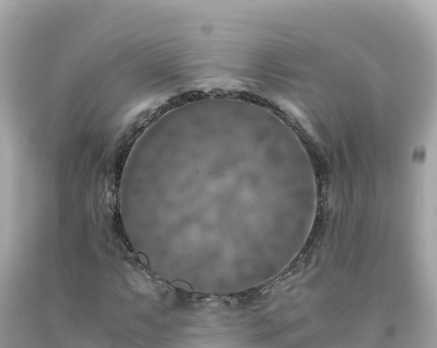 X0000092021063200709131551