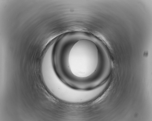 X0000092021065200709131551