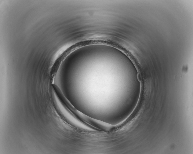 X0000092021066200709131551