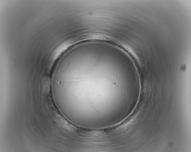 X0000092021067200709131551