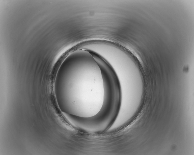 X0000092021069200709131551