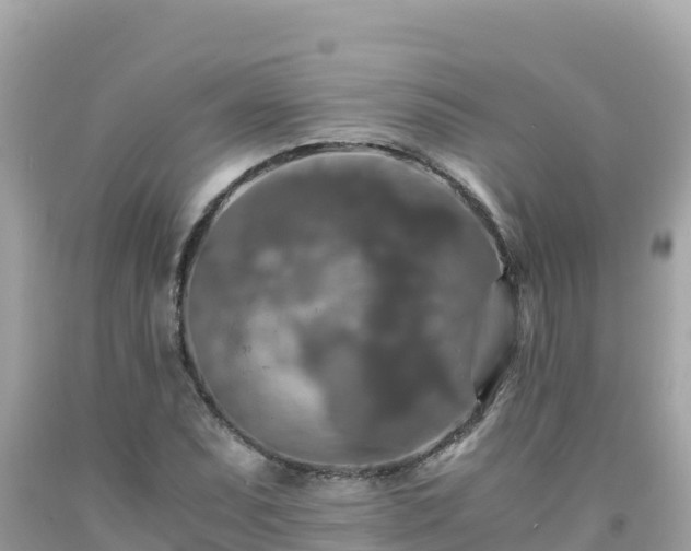 X0000092021071200709131551