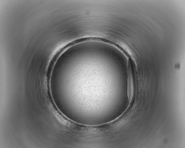 X0000092021072200709131551