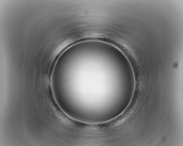 X0000092021073200709131551