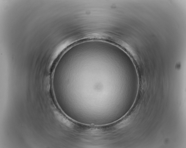 X0000092021075200709131551