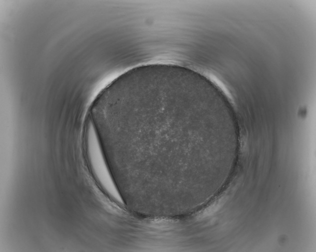 X0000092021077200709131551