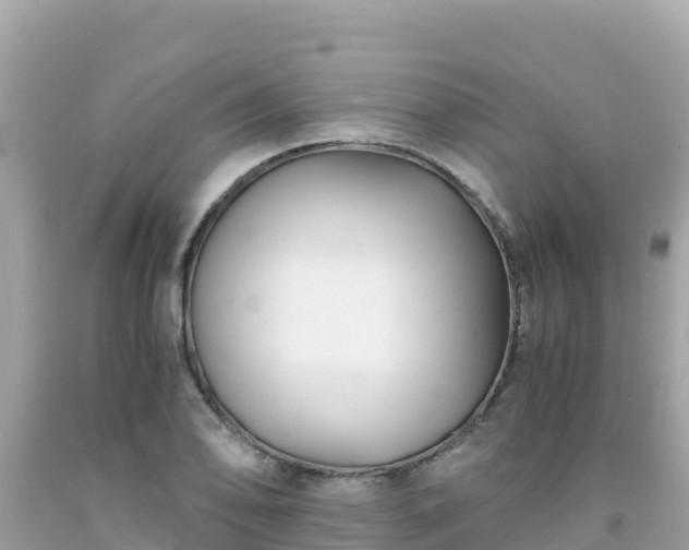 X0000092021078200709131551
