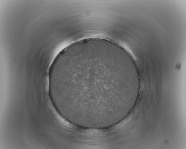 X0000092021079200709131551