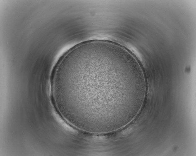 X0000092021080200709131551