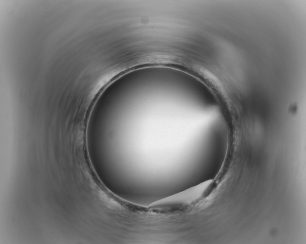 X0000092021081200709131551