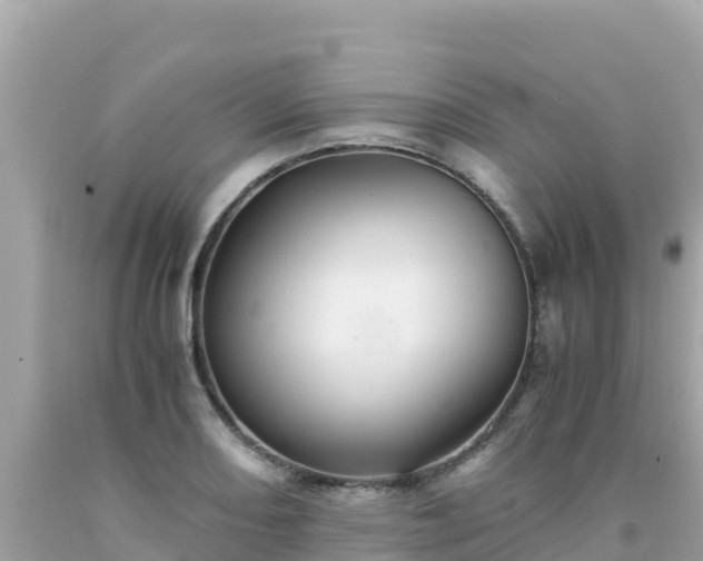 X0000092021082200709131551