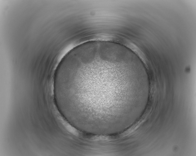 X0000092021083200709131551