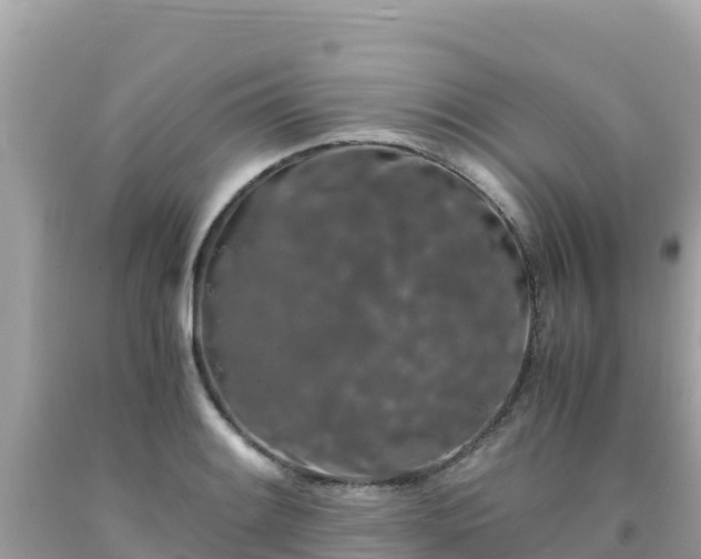 X0000092021084200709131551