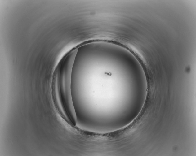 X0000092021085200709131551