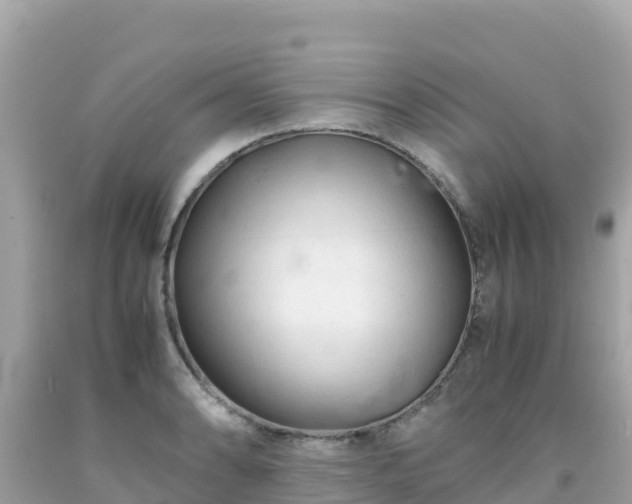 X0000092021086200709131551