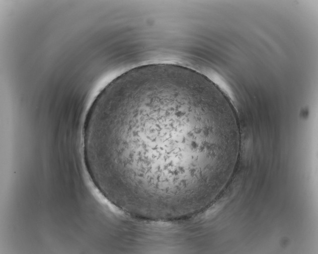 X0000092021088200709131551