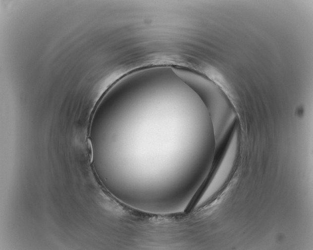 X0000092021089200709131551