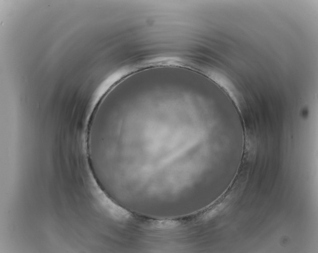 X0000092021090200709131551